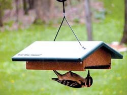 EcoTough Upside-Down Suet Feeder