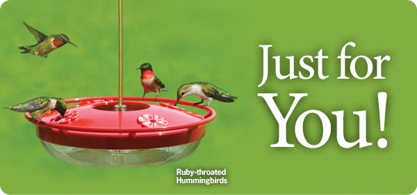 Hummingbirds