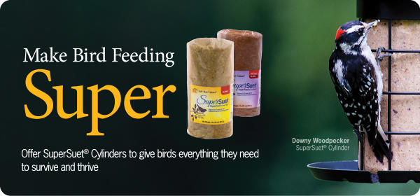 Suet Cylinders
